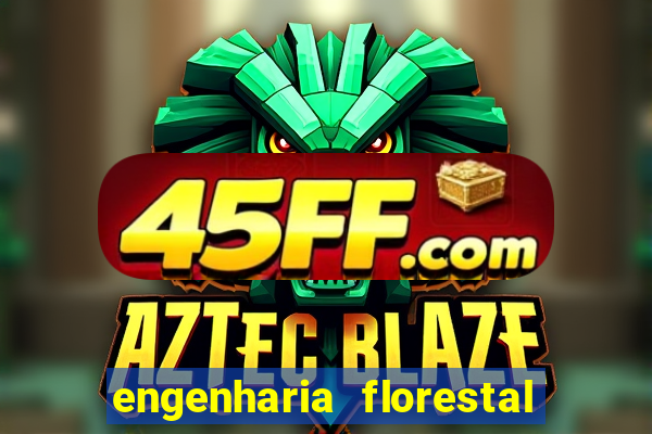 engenharia florestal ead cruzeiro do sul